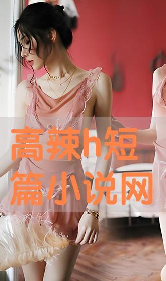 h篇片在线观看,揭秘网络热剧背后的故事与争议  第1张